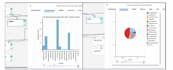 Example of indivdual visualization (bar plot, pie plot)