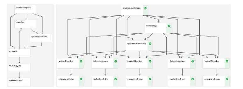 Pipeline and run for classify_meth _ by_ dl