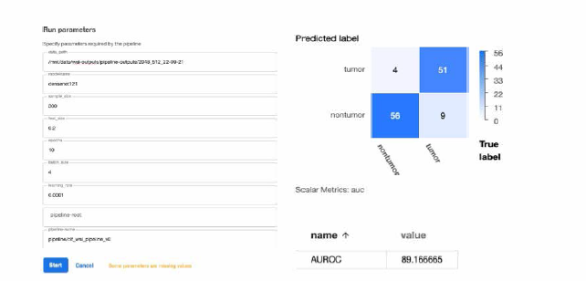 Form and result of classify_wsi_by_ dl