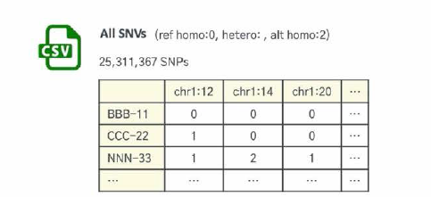 Part of final matrix, W GS - All SNVs