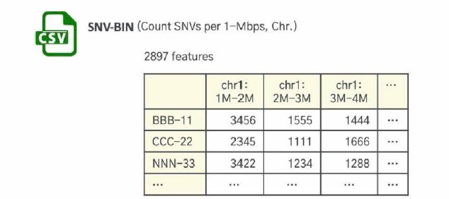 part of matrix after dimension reduction，SNV-BIN