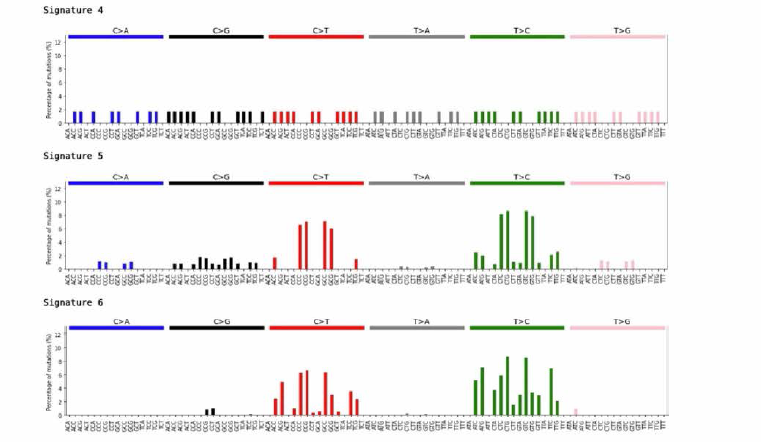 Distribution of mutation type by signature (Sig4~6)