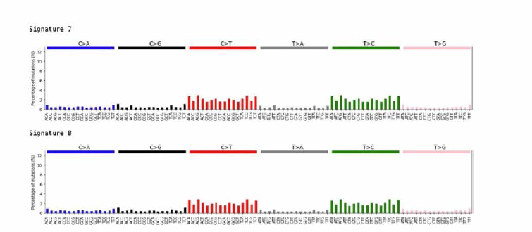 Distribution of mutation type by signature (Sig7~8)