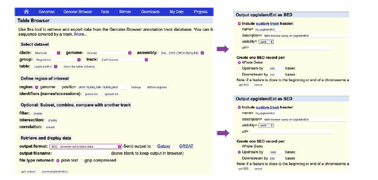 Extraction of CpG Island BED from UCSC Table Browser