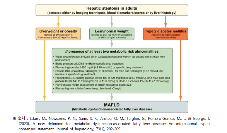 MAFLD 진단기준