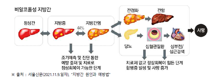 비알코올 지방간질환 범위 및 예후