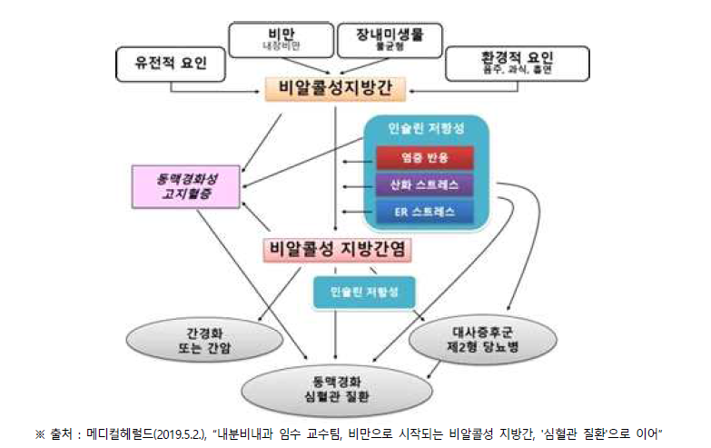 심혈관질환 발생 위험을 높이는 지방간 기전