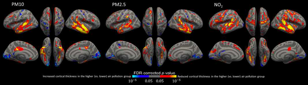 대기오염 노출에 의해 신경퇴행이 일어나는 다양한 뇌 부위 (Cho et al., 2020)