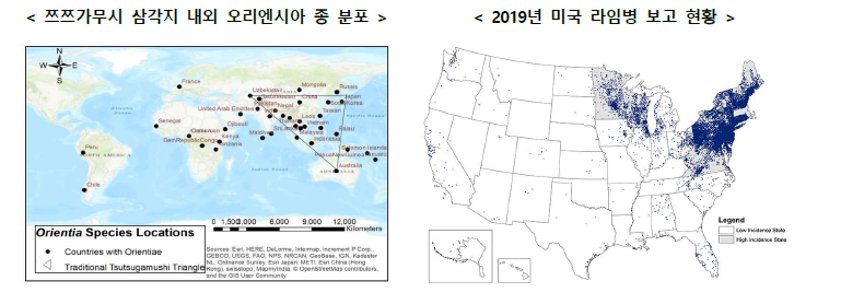 쯔쯔가무시 전세계 발생 현황