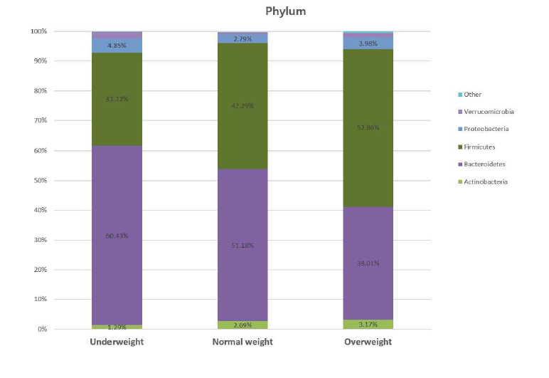 비만도에 따른 집단 간 장내미생물 분포 비율 (Phylum)
