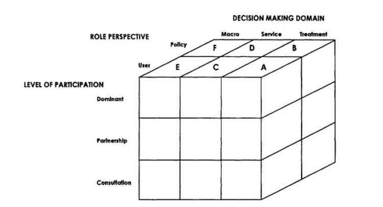 보건의료에서 일반인 참여의 차원 (Dimensions of Lay Participation in Health Care Decision Making)