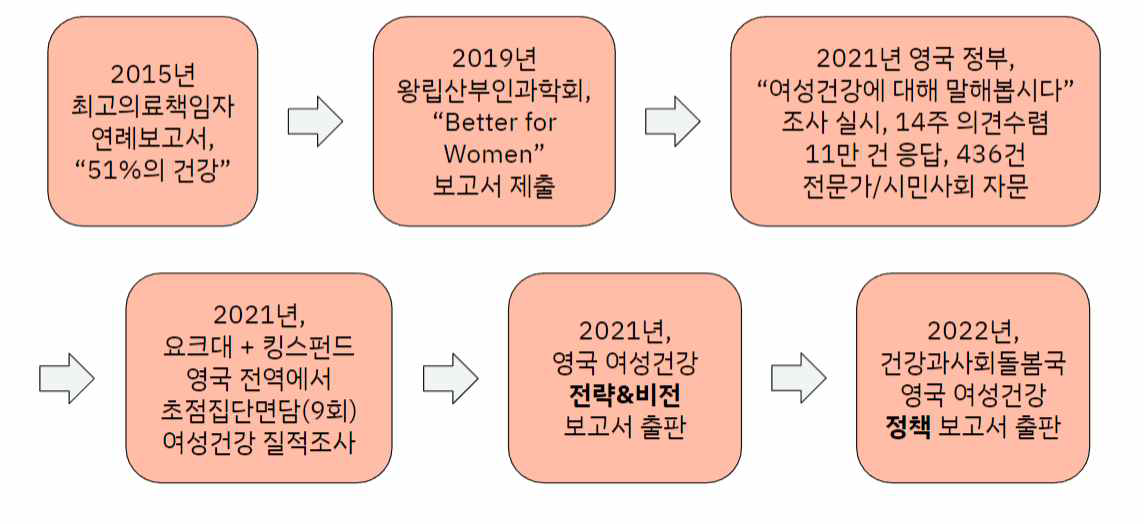 영국의 국가여성건강전략 개발 과정