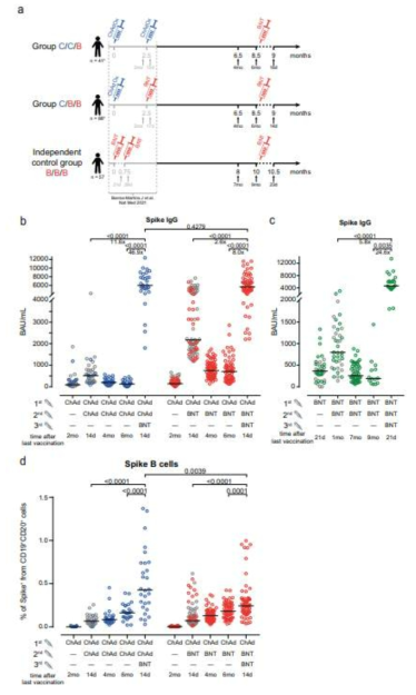 해당 논문의 연구 참여자 모집 개요와 humoral immune response 분석 결과