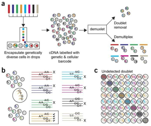 본 연구진이 대안으로 선택한 dry demultiplexing