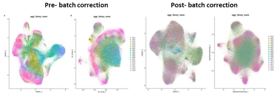데이터 batch correction 전과 후
