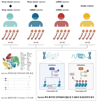 본 연구의 개요