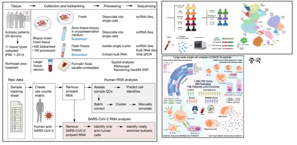주요국가의 SARS-CoV-2 단일세포 전사체 연구현황