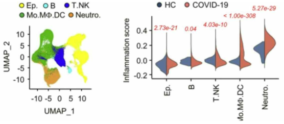 통합된 SARS-CoV-2 데이터 분석을 통한 Neutrophil과 Inflammation의 관계