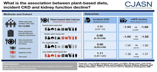 식물성 식단과 CKD 발병 간의 연관성 자료) Plant-Based Diets and Incident CKD and Kidney Function, Laura E. Caulfield, 2019.05.14