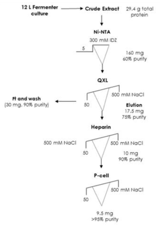 D1-D12 complex purification scheme