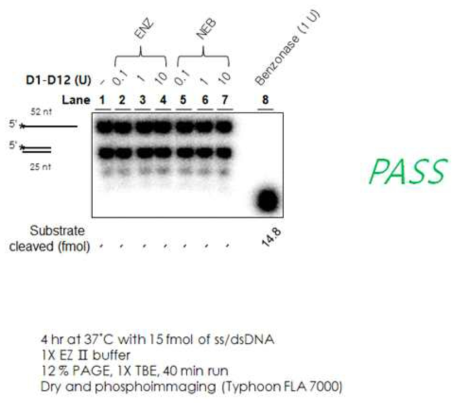 D1-D12 complex 의 non-specific nuclease 오염도 분석 결과