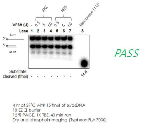 VP39 의 non-specific nuclease 오염도 분석 결과