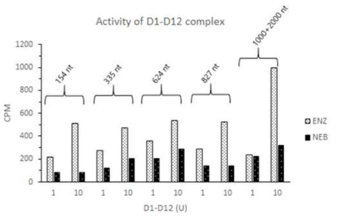 D1-D12 complex 의 활성 분석 결과 (CPM)