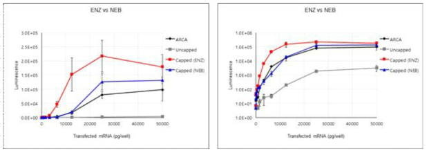 개발된 Capping Enzyme 의 외산 제품대비 활성 비교 (좌: linear scale, 우: log scale)