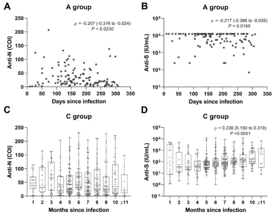 Kinetics of anti-SARS-CoV-2 nucleocapsid and spike IgG antibodies in infected groups. (A & B) Correlation of anti-SARS-CoV-2 nucleocapsid and spike IgG antibody levels with time in days from infection to collect samples in vaccinated children (A group: n = 121) with prior infection. (C & D) Correlation of anti-SARS-CoV-2 nucleocapsid and spike IgG antibody levels with time in months from infection to collect samples in unvaccinated children (C group: n = 510) with prior infection. Each circle represents an individual sample, and horizontal lines in the box indicate the median value with the interquartile range. P value by Spearman ρ test