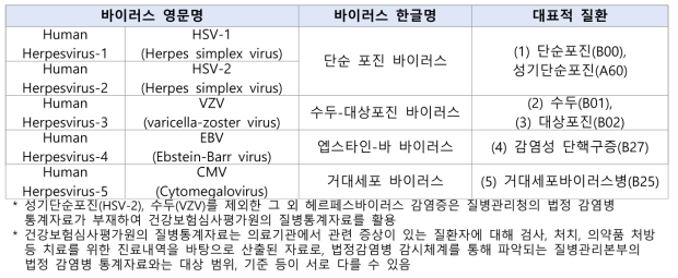 헤르페스 바이러스 감염병의 종류