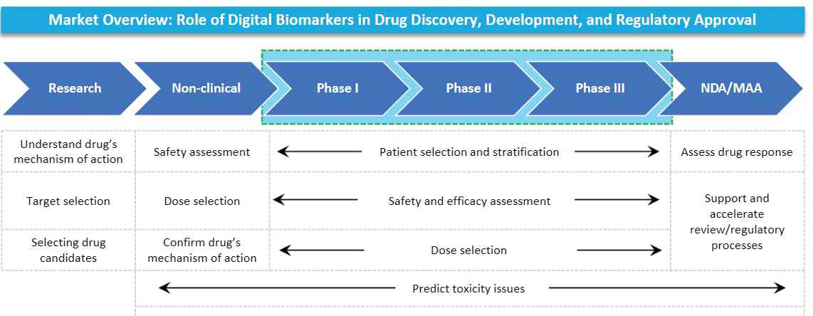 신약 개발 (약물 개발, 규제 허가)에 있어서 디지털 바이오마커의 역할