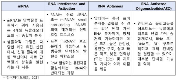 RNA 치료제 세부 유형