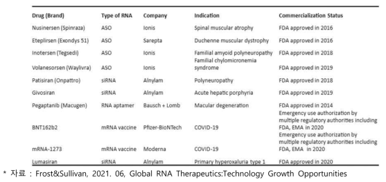 RNA 치료제 출시 정보