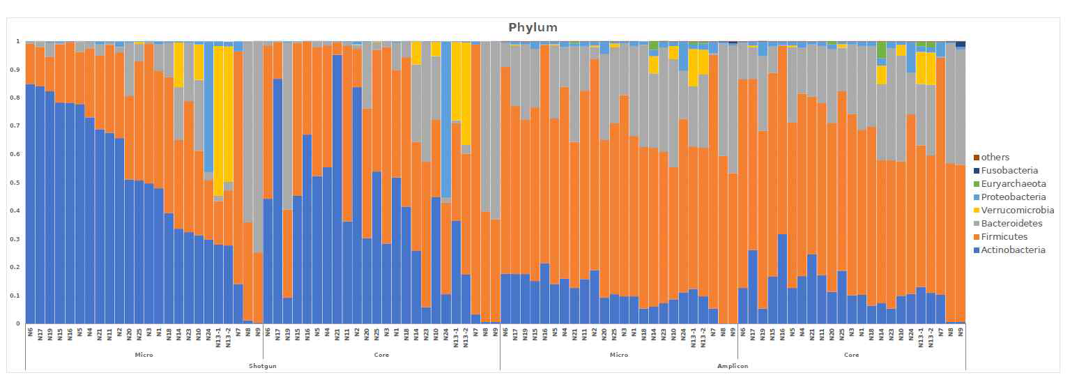 정상인 24명의 stool sample의 microbiome 분석 결과 (pylum level)