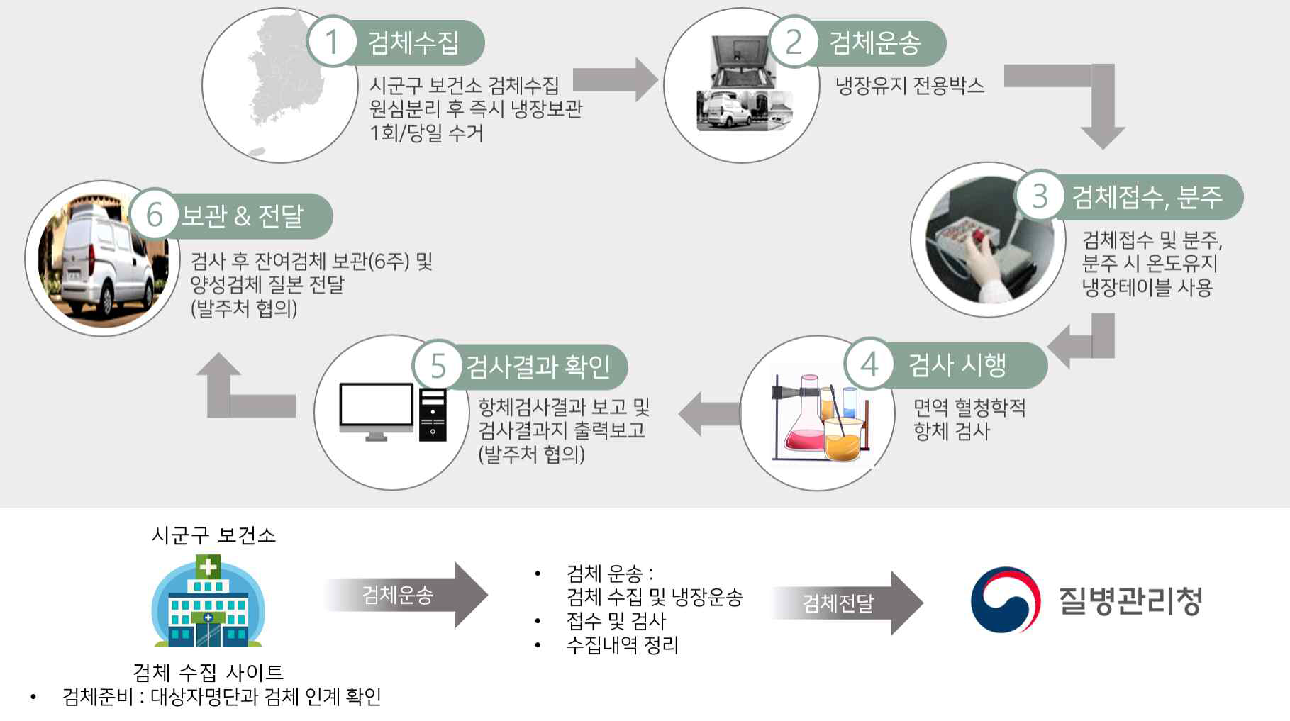 혈청검체 수집/운송/검사 수행 도식도