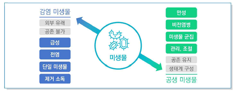 미생물과 질병 관계