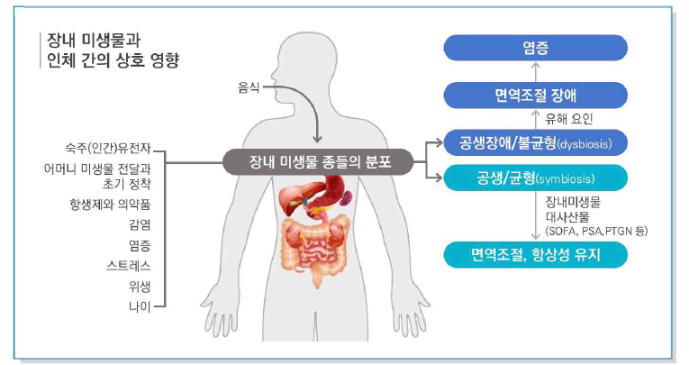 장내 미생물과 인체간 상호영향