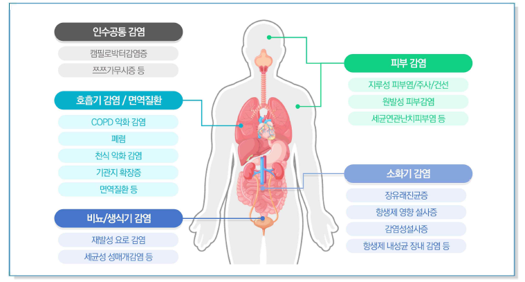 분야별 대상 난치성 감염질환