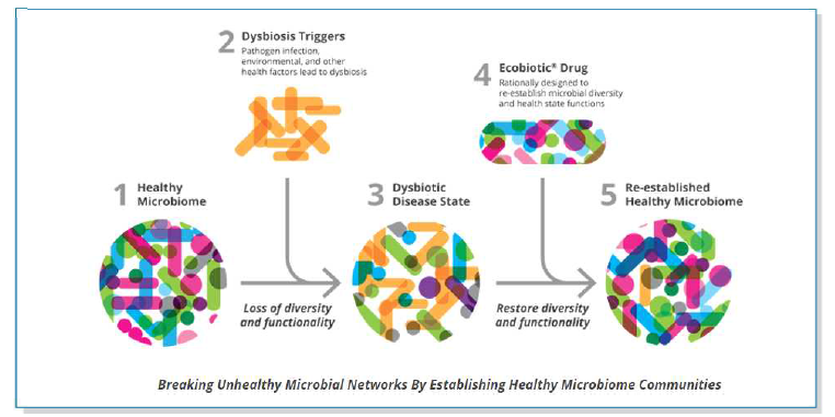 마이크로바이옴을 변화시키는 치료 Ecobiotic drug의 개념 (Seres Therapeutics, Inc.)