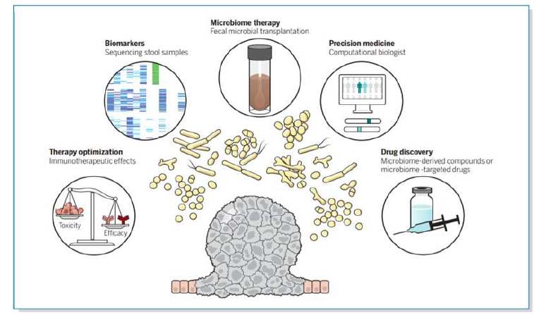 장내미생물: 진단과 치료의 타겟31)