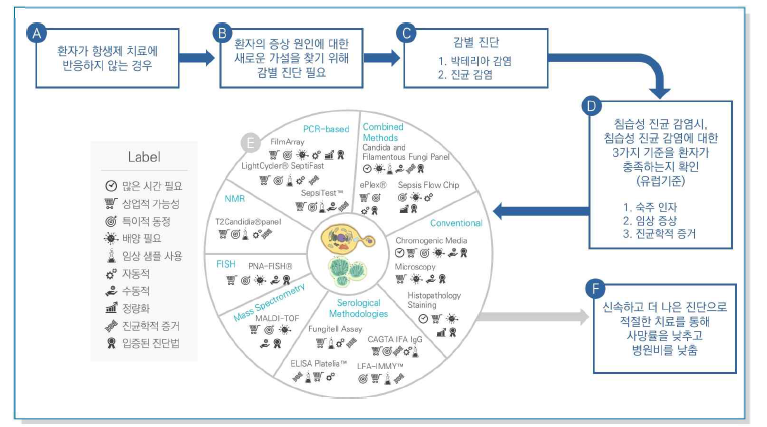 진균감염질환분야 진단 방법들32)