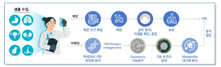 신체 부위별 배양 및 비배양 샘플 처리 모식도