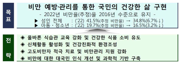 국가 비만관리 종합대책 비전체계도