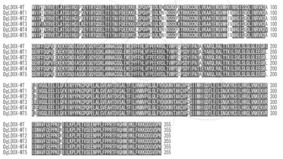대조구 '아르거스‘와 5개의 화색변이 돌연변이 개체의 DgLDOX 유전자의 아미노산 서열 비교