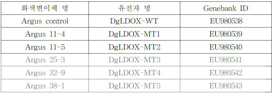 NCBI에 등록한 국화 화색관련 LDOX 유전자별 genebank ID