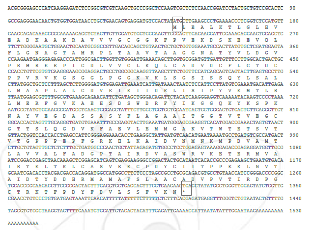 Nucleotide sequence and deduced amino acid sequence of zjEPSPS cDNA. The start codon ATG and the stop codon TGA are in respective rectangle