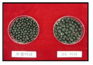 콩 원품종 “94 서리”와 개발된 조생종 신품종 “조생서리”의 비교