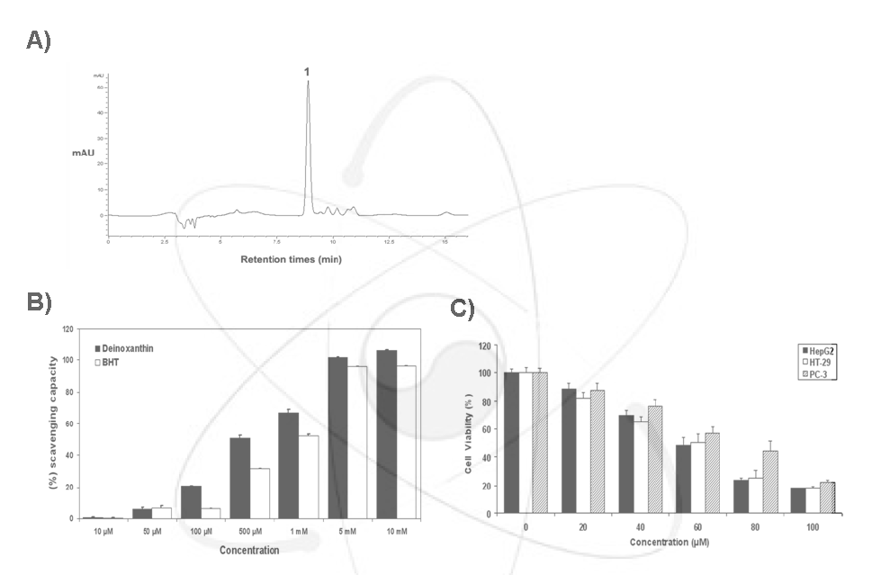 정제된 deinoxanthin의 HPLC chromatogram(A) 및 항산화(B) 세포독성(C) 분석