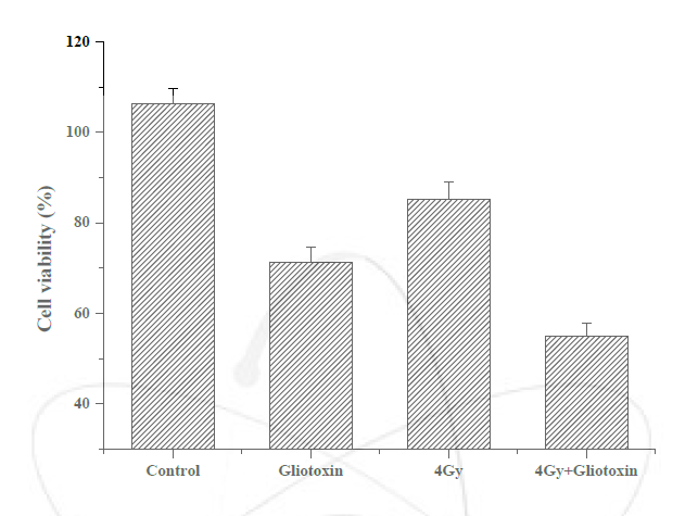 Gliotoxin과 감마선 조사 병용 처리에 의한 HepG2 세포의 사멸효과