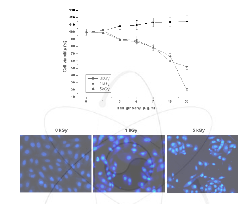 방사선 조사 홍삼추출액의 암세포 PC-3 세포 사멸효과
